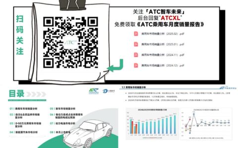 【限时免费领取】2025年2月乘用车销量报告新鲜出炉