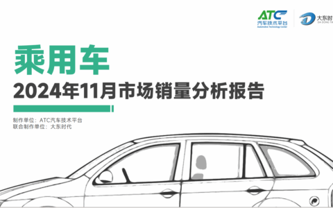 2024年11月-乘用车市场销量分析