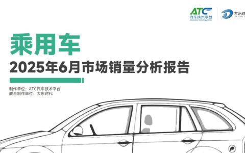 2025年6月-乘用车市场销量分析报告