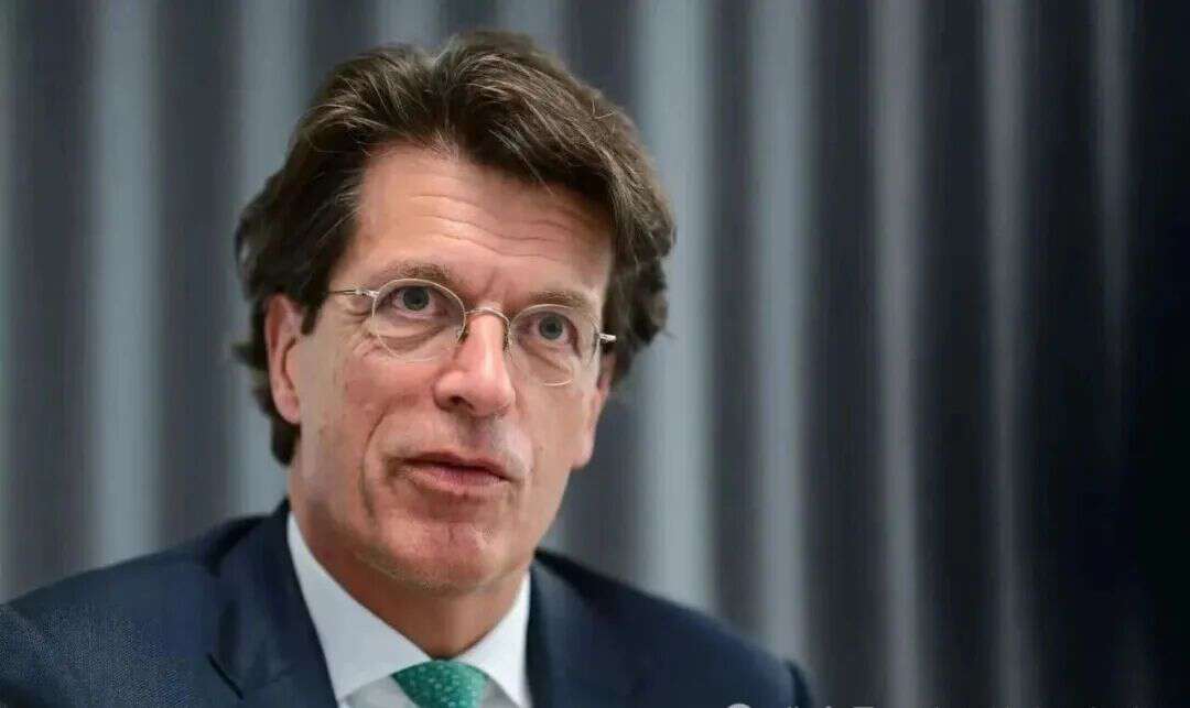 “捷报”与减值同时抵达:舍弗勒的止血术赢了一局,造血战才刚开局